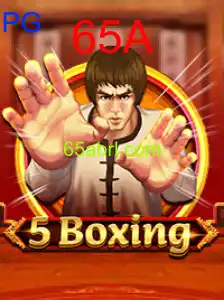 5Boxing
